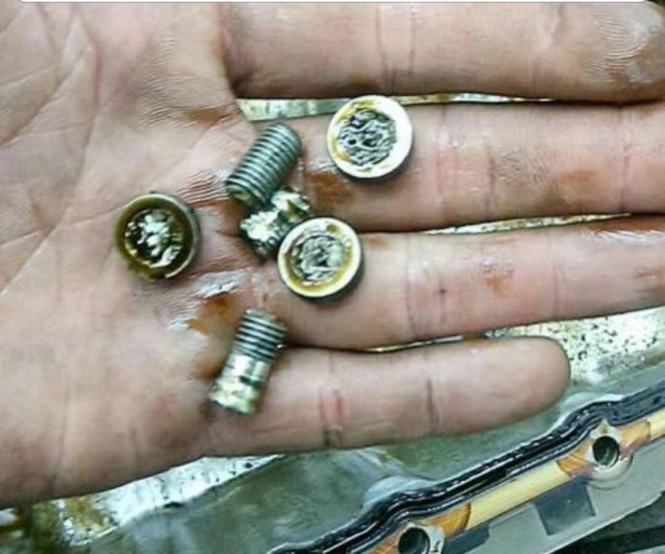 315姹借溅缁存潈鐪熺浉,315杞﹀瀷缁存潈