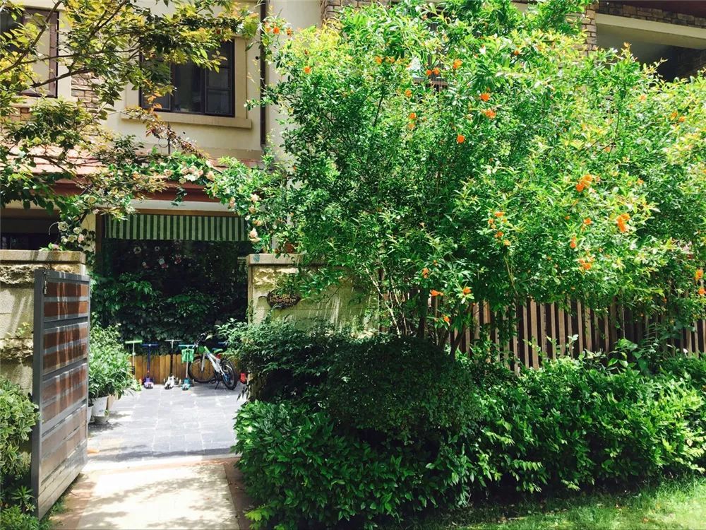 武汉最难进的12所学校,武汉最难进小学