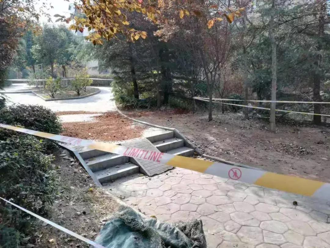 痛心两名学生抢救无效不幸身亡,大学生捅死陪读母亲原因