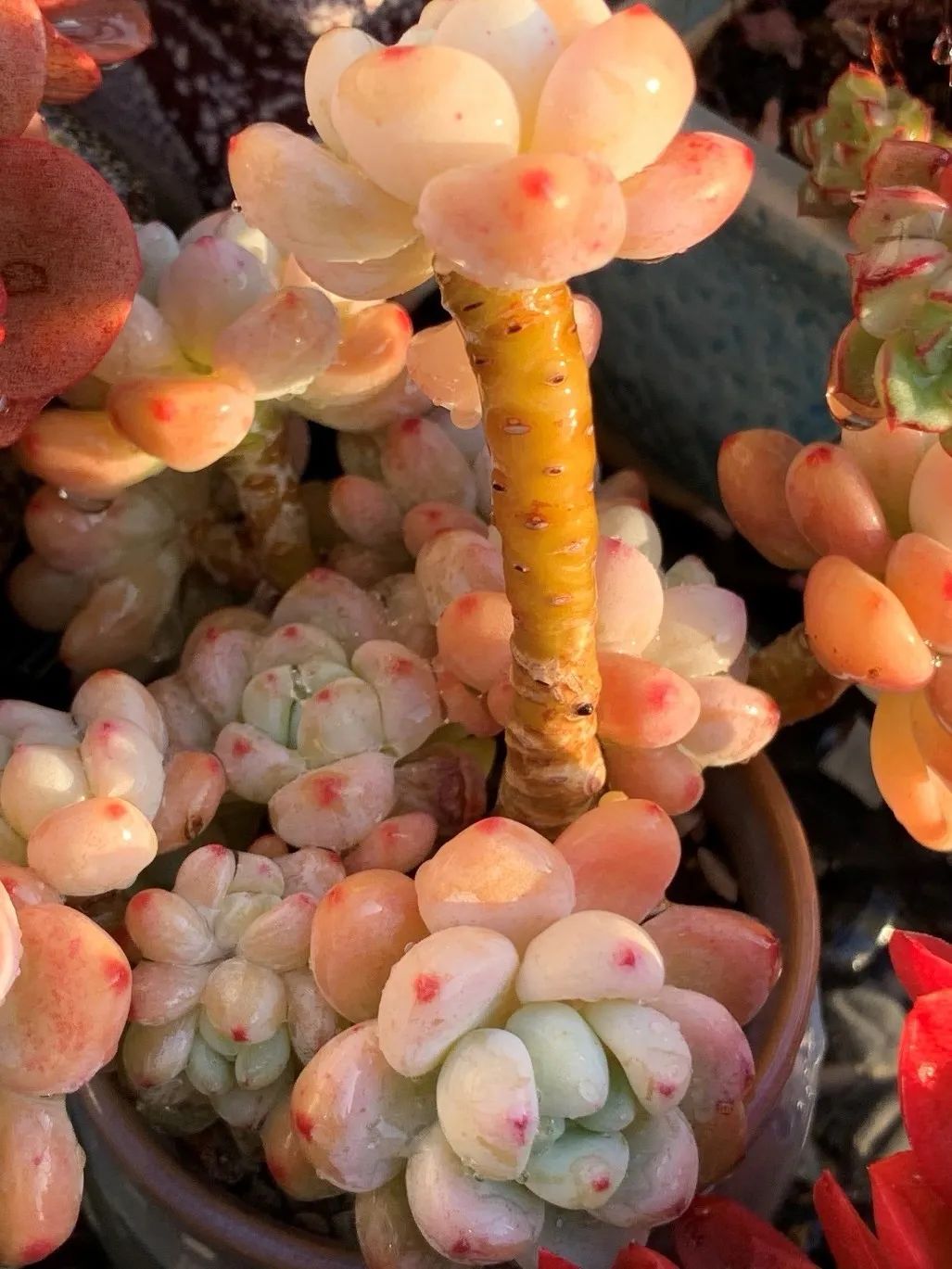 禁足的日子收获颇多,禁足