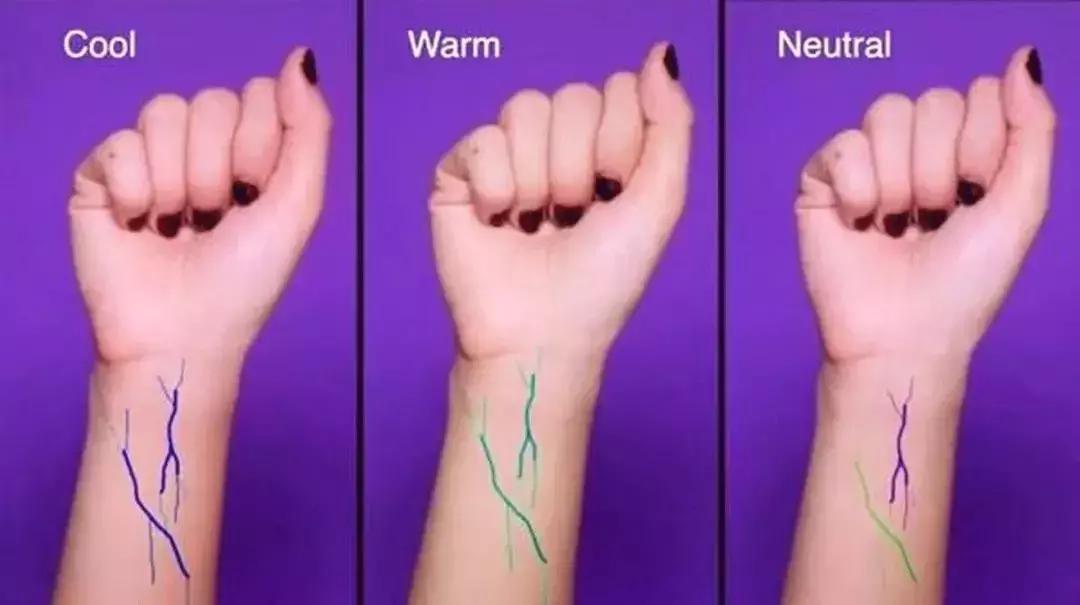 美妆知识小棕瓶,小棕瓶红腰子