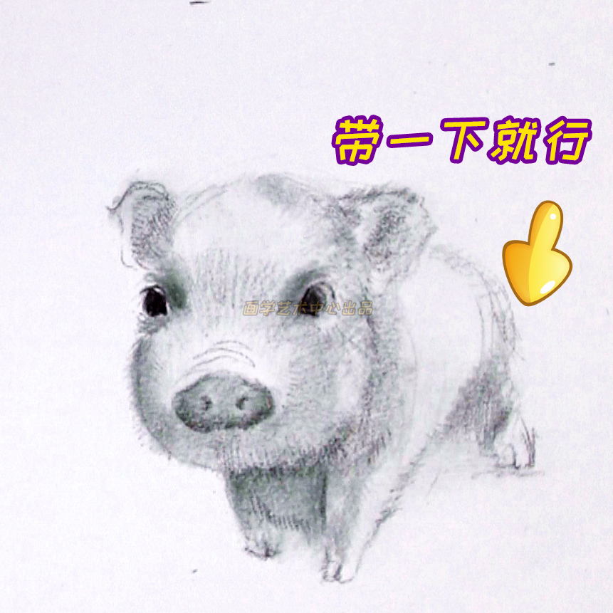 简单小猪绘画教程,用数字勾画出可爱的小猪