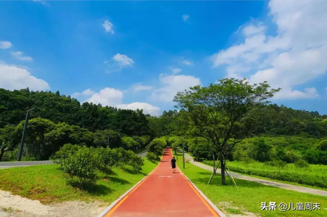 淘金山绿道晚上图片,淘金山绿道深圳罗湖网红