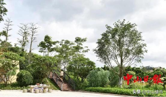 低密舒适人居,低密品质人文大城