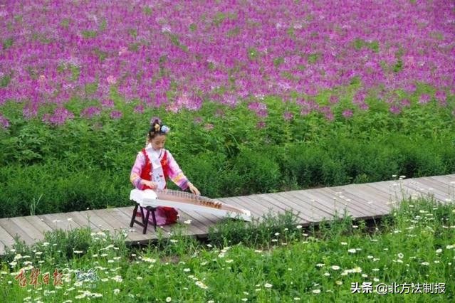 端午小长假去这四个地方玩,端午小长假适合去哪玩自驾游