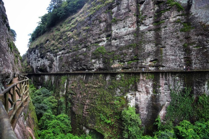 梅州采茶,梅州采茶体验