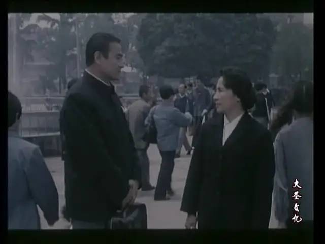 岁月不饶人的剧,岁月不饶人电视剧全集