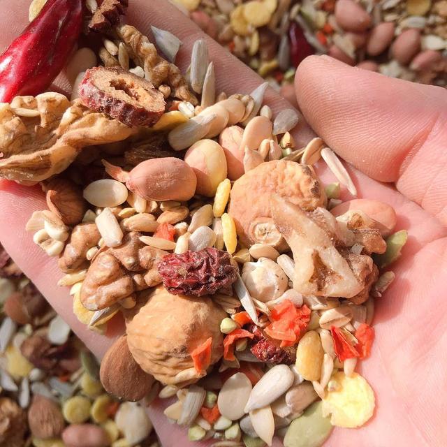 鹦鹉到底吃滋养丸还是种子粮,鹦鹉喂滋养丸还是混合粮好