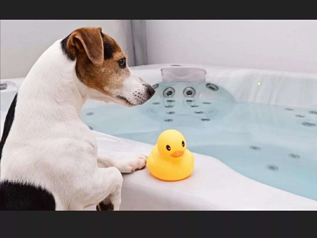 为什么人出汗是酸臭味,为什么一出汗就有味道