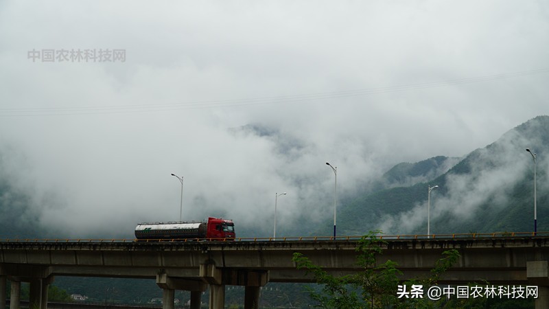 天水到大水川一日游,自驾游到天柱山停哪里最方便