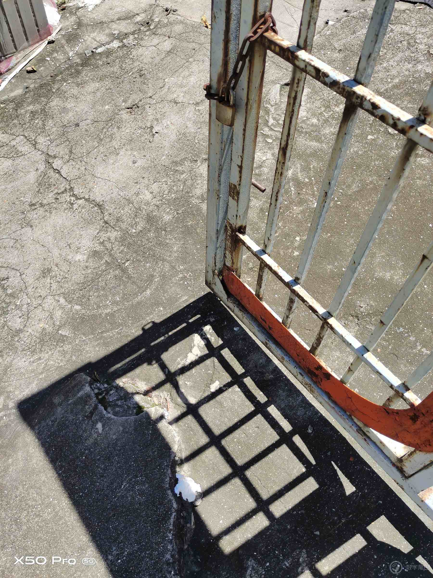 vivox100pro,vivox50pro实测