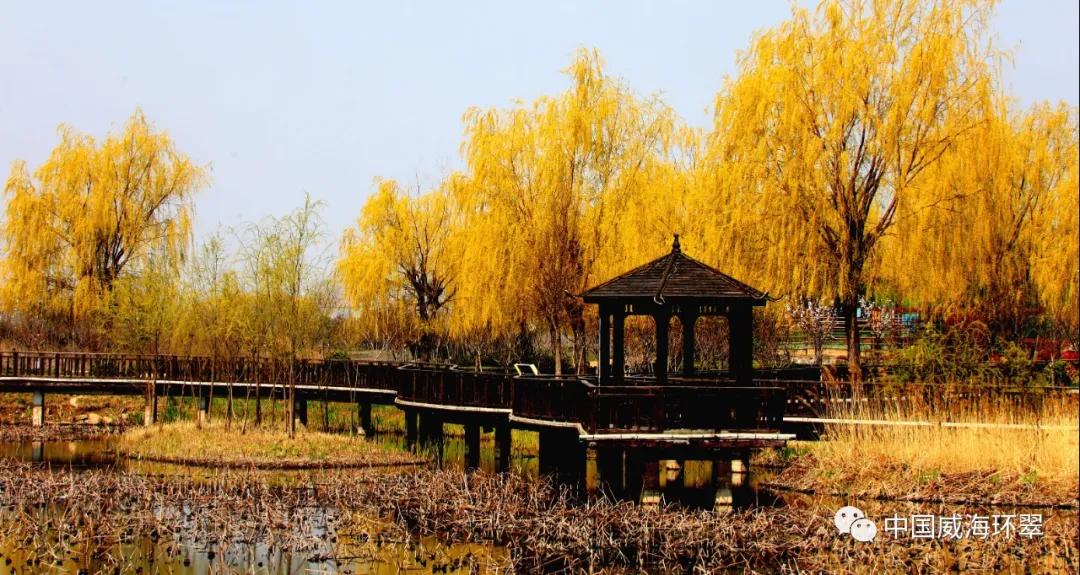 走进春天的环翠公园,环翠景色