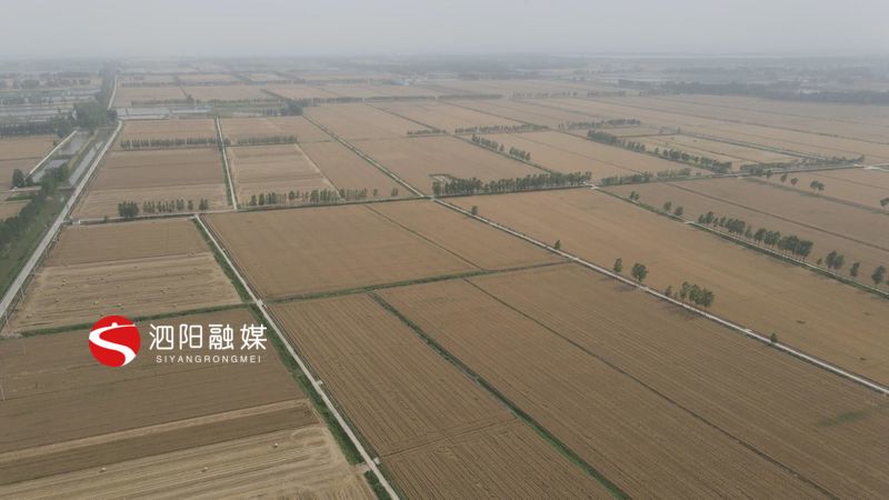 泗阳县农业产业,农业农村局秸秆综合利用实施方案