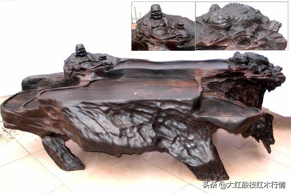 你可能不知道的地球生物,裸木乃伊植物