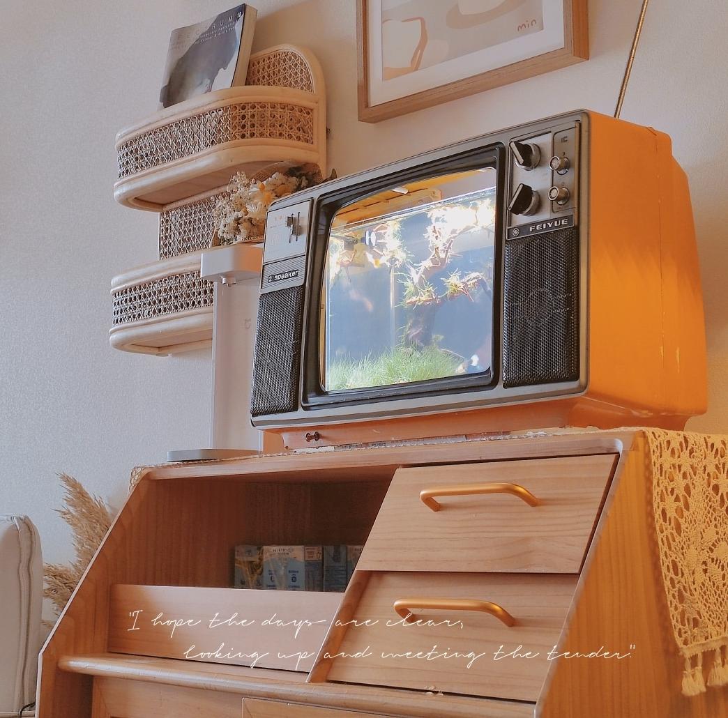 小红书上晒日常,小红书上的生活记录