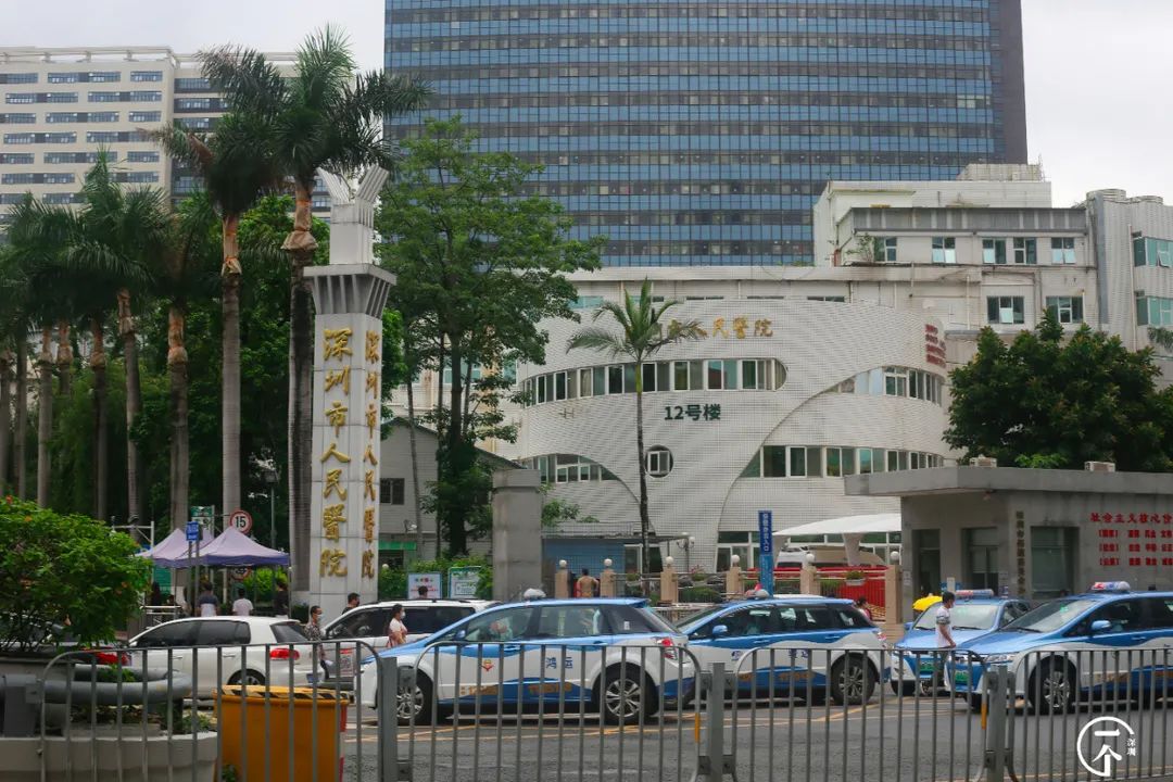 深圳一座被高估的城市,深圳严重被低估的板块