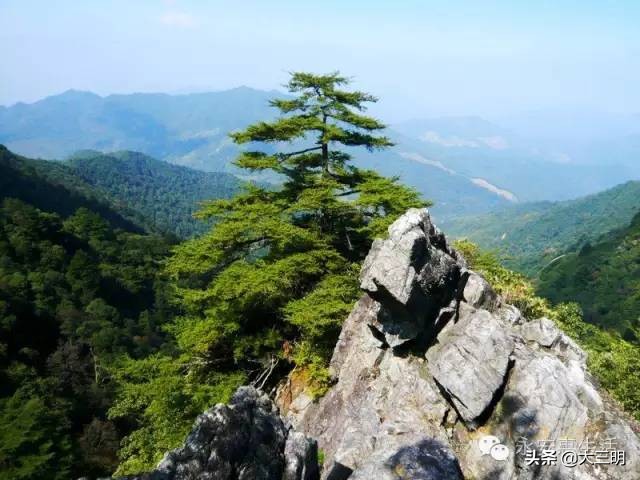 中国绿都最氧三明春回大地,大武夷旅游绿都三明