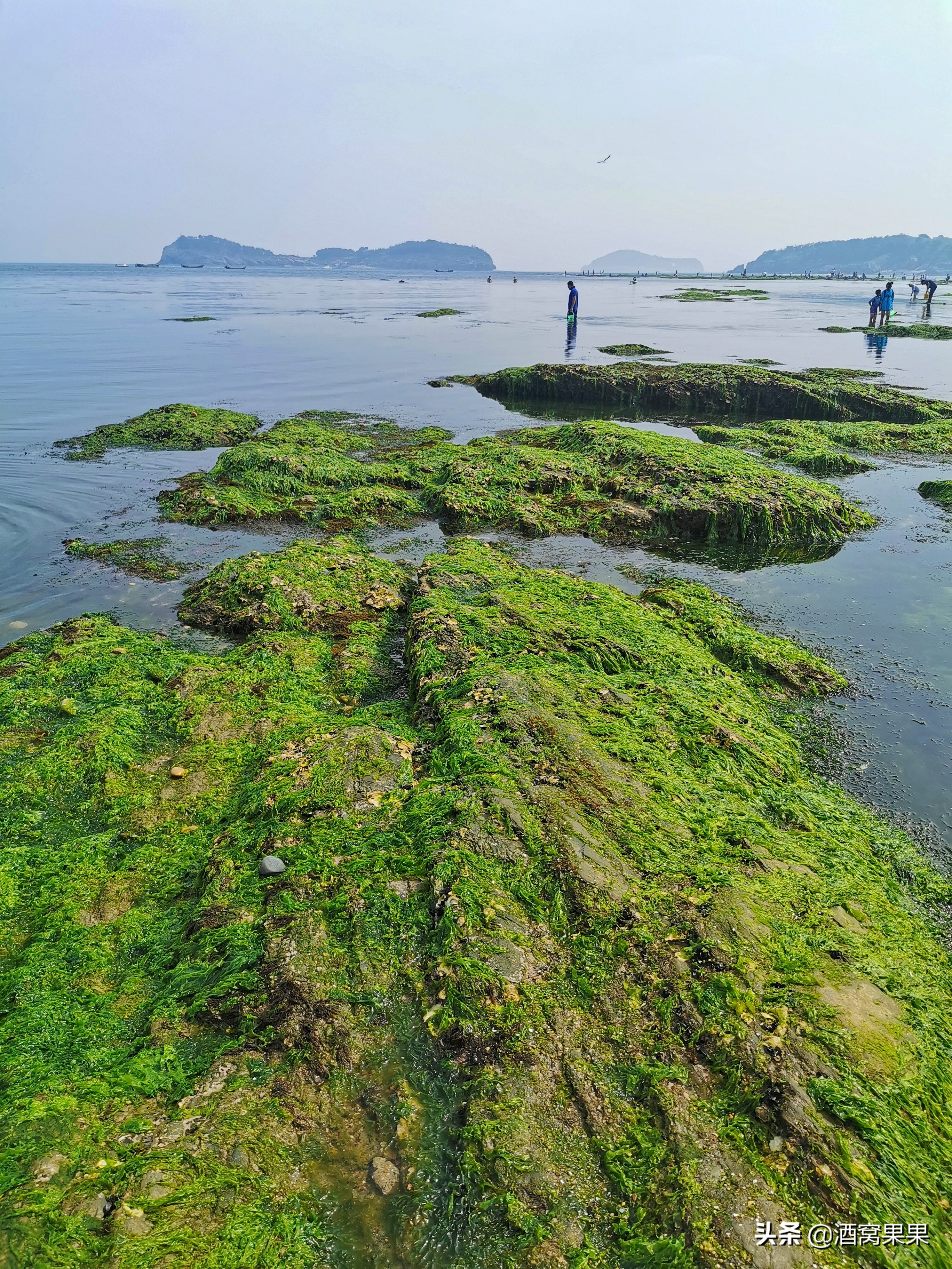 大连哪个海边可以免费搭帐篷烧烤,大连免费露营烧烤海滩