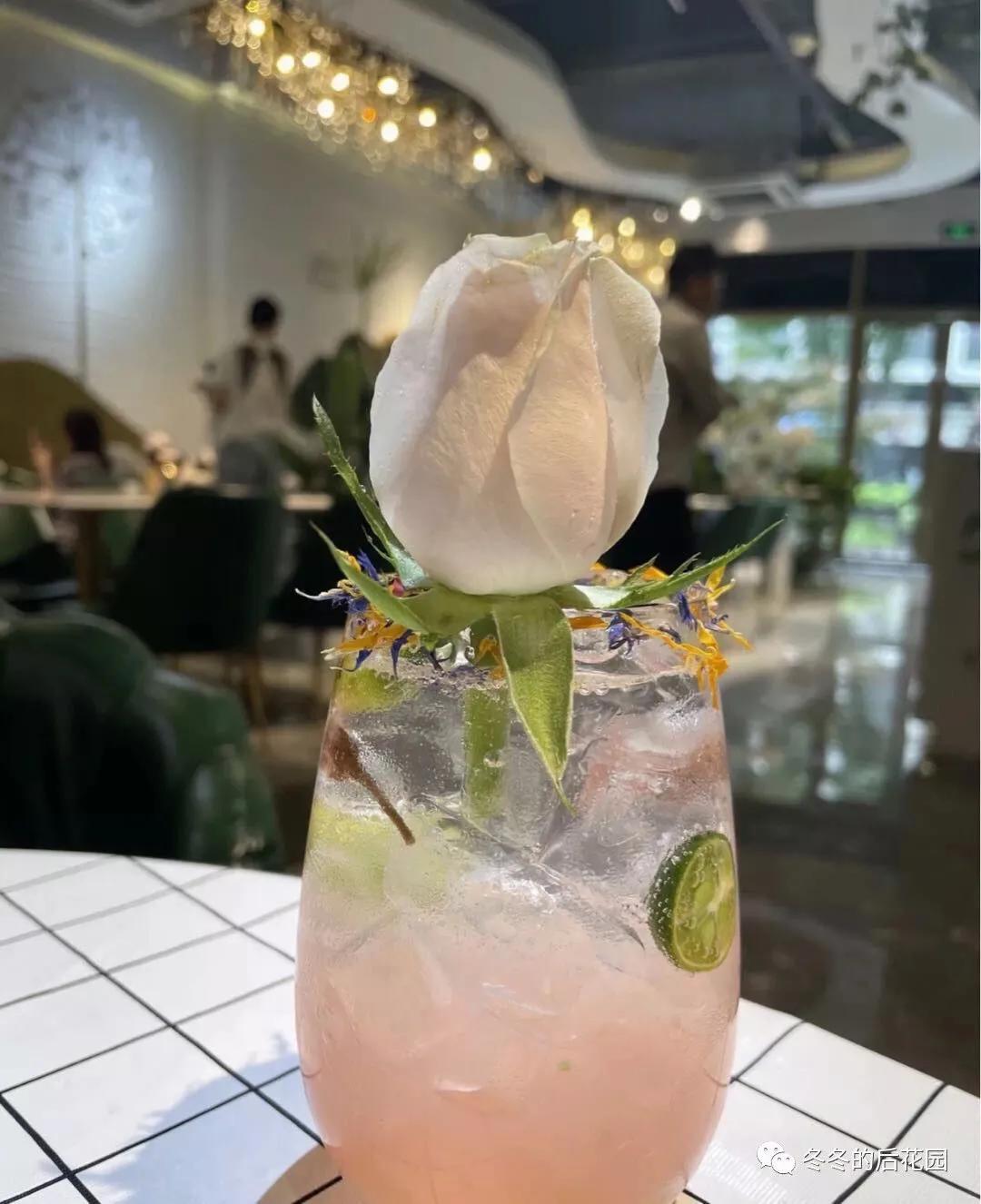 夏日白桃乌龙茶,百事可乐乌龙白桃味