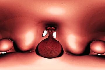 浣犵殑韬綋鍒板簳闀夸粈涔堟牱,浣犵煡閬撲綘鐨勮韩浣撻暱鍟ユ牱瀛愬悧