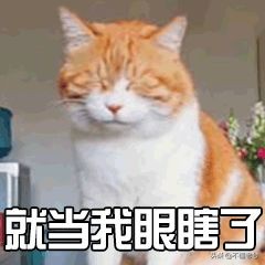 汤姆福特和迪奥哪个眼影盘好,汤姆福特20号眼影教程