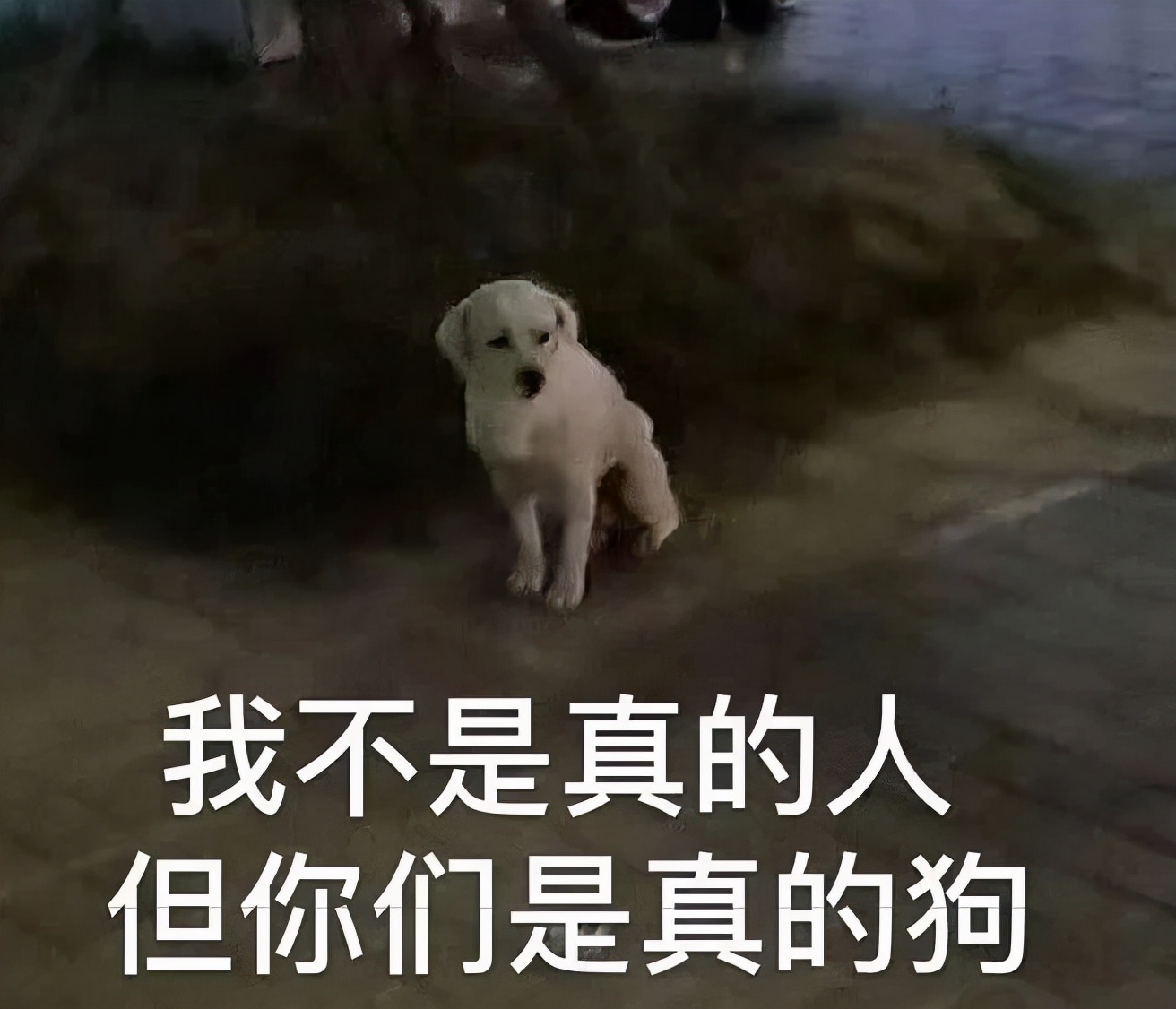 那些年留学生在海关被没收的东西,留学生被海关没收的东西