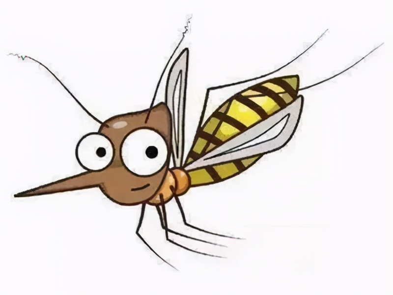 如何让蚊子退避三舍,怎么对付蚊子这几招超级好用