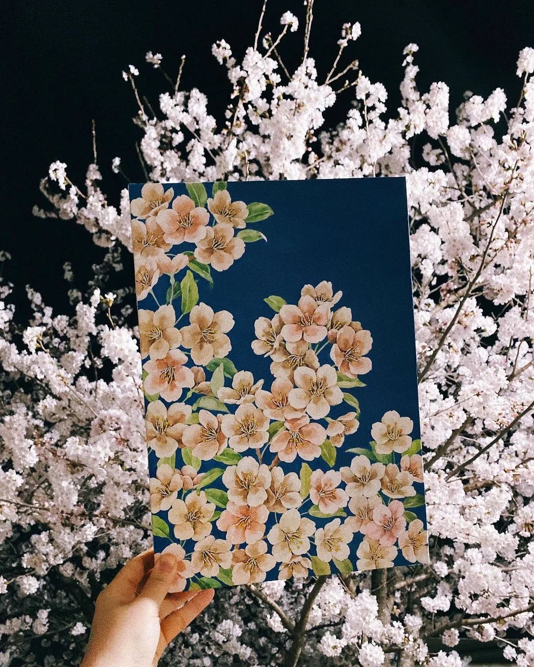 超美水彩画治愈,韩国女孩画画