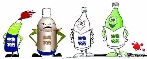 盆栽小黑飞虫怎么治,盆栽有小飞虫怎么处理