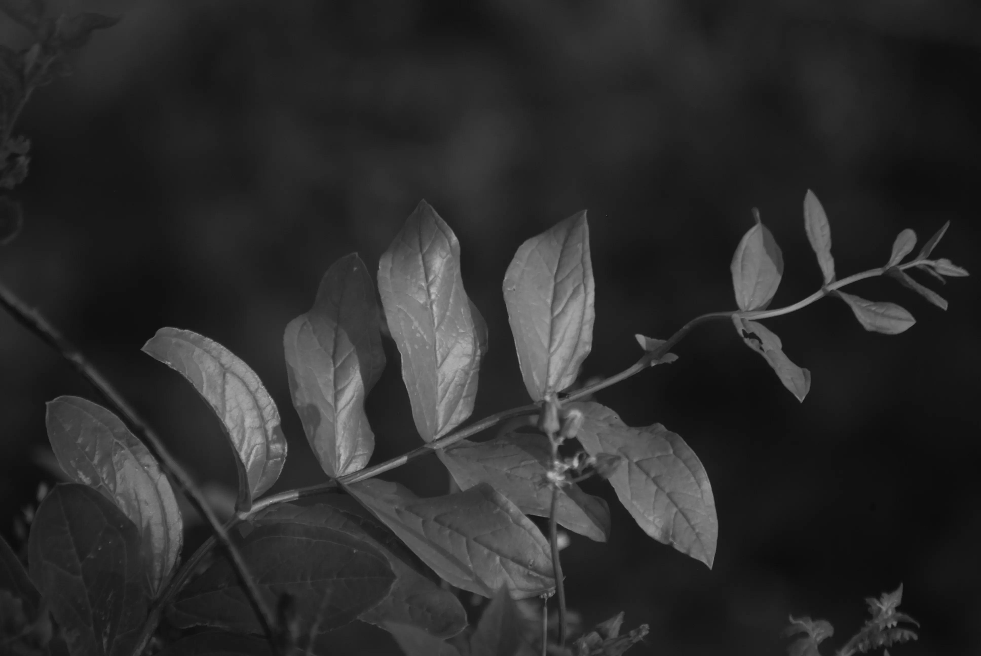 1000多的二手单反值得买吗,1000元左右二手单反全画幅