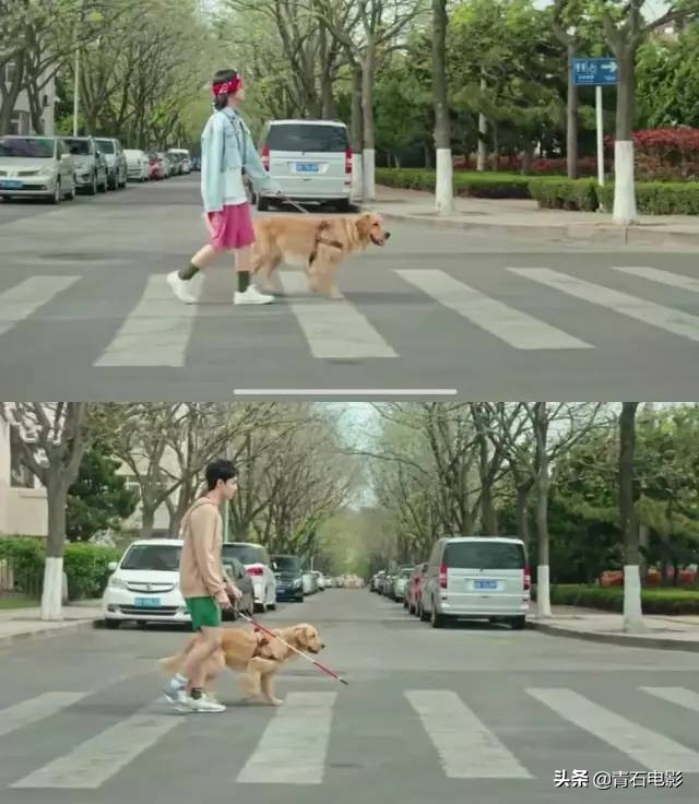 有一道光暖暖的洒下来歌词,一部让人心灵充满阳光的温情电影