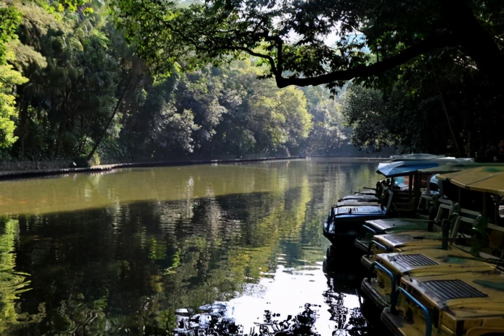 广州4a级景区旅游景点,广州5a旅游景区名单大全
