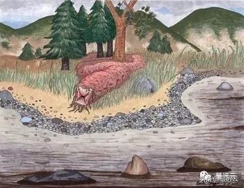 经典传奇湖底谜团水怪,尼斯湖水怪谜团