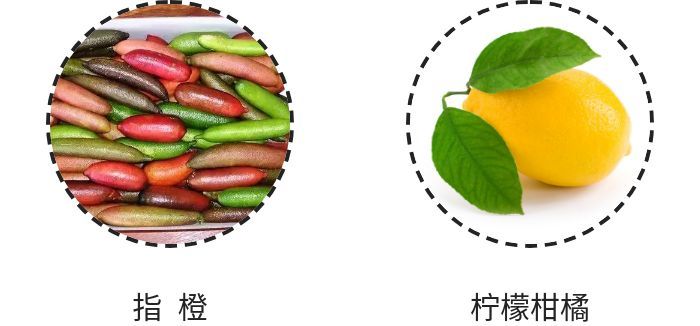 水果为什么特别甜是加了甜味素吗,现在水果这么甜是打了甜蜜素吗