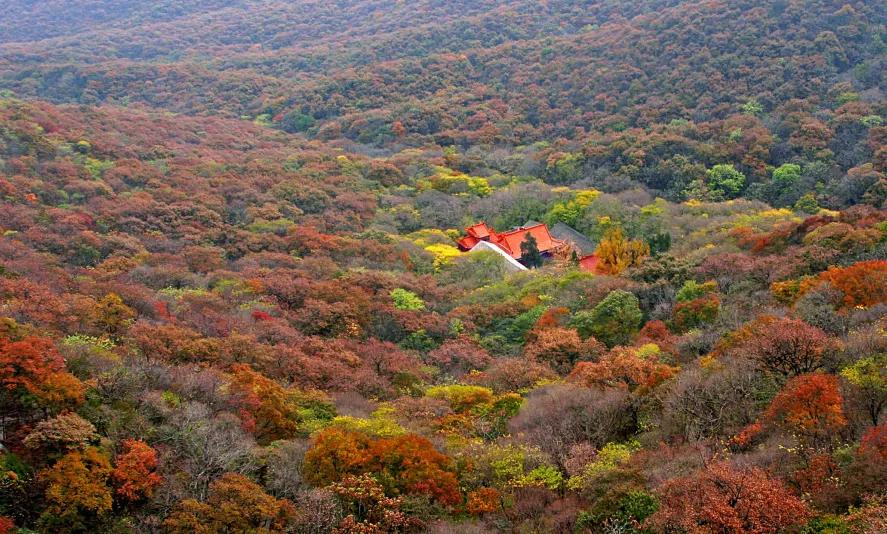 宿州夏天最美的风景在哪里,宿州观赏秋景