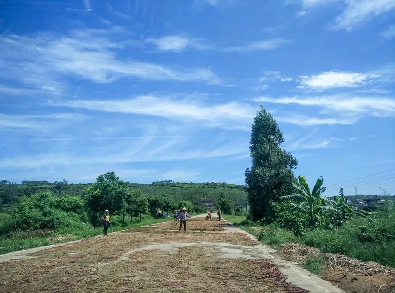 鐏北宀涙毚椋庨洦瑙嗛,鐏北宀涙毚椋庨洦