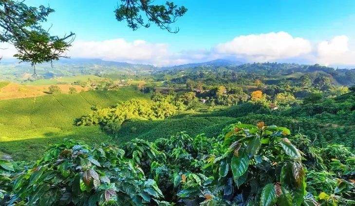 哥伦比亚足球j罗,j罗踢足球