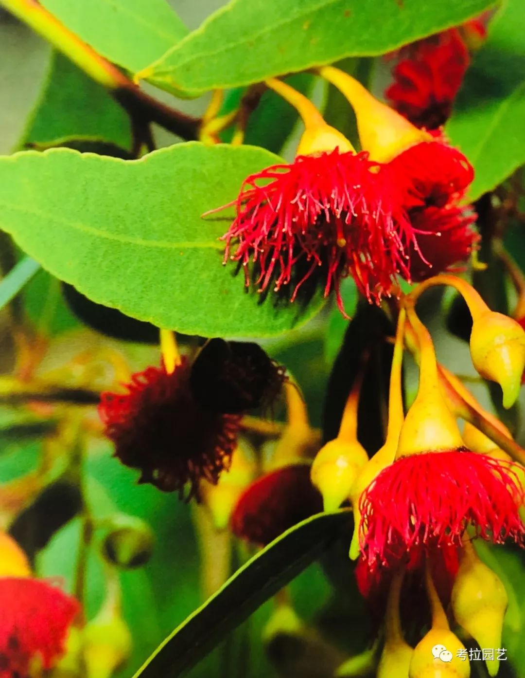 大地的恩赐图片,大地的馈赠是大天域吗