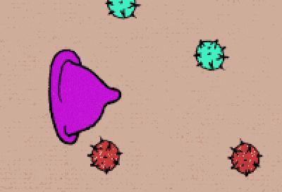 不幸接触艾滋病患者72小时自救,不幸染上艾滋病