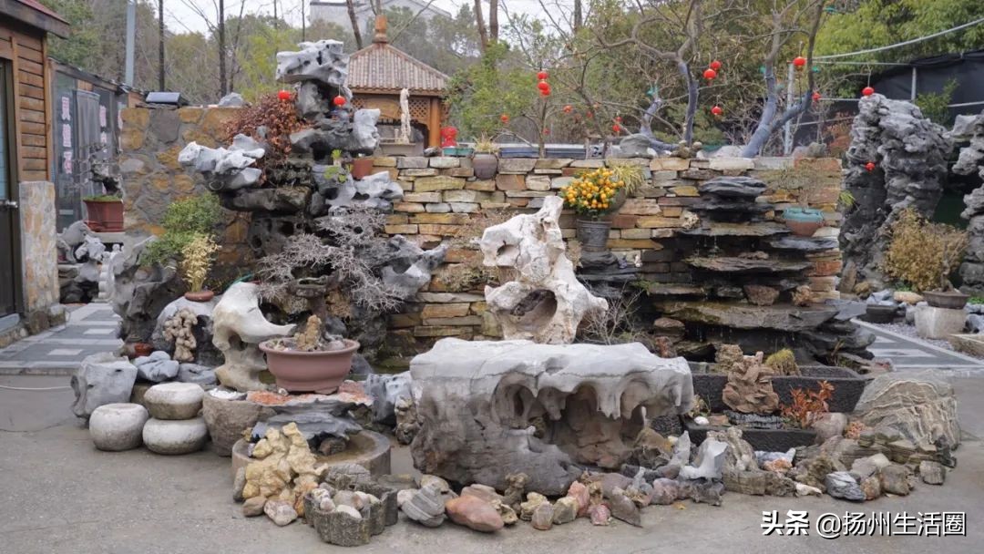 2元花盆批发,2元左右的花盆