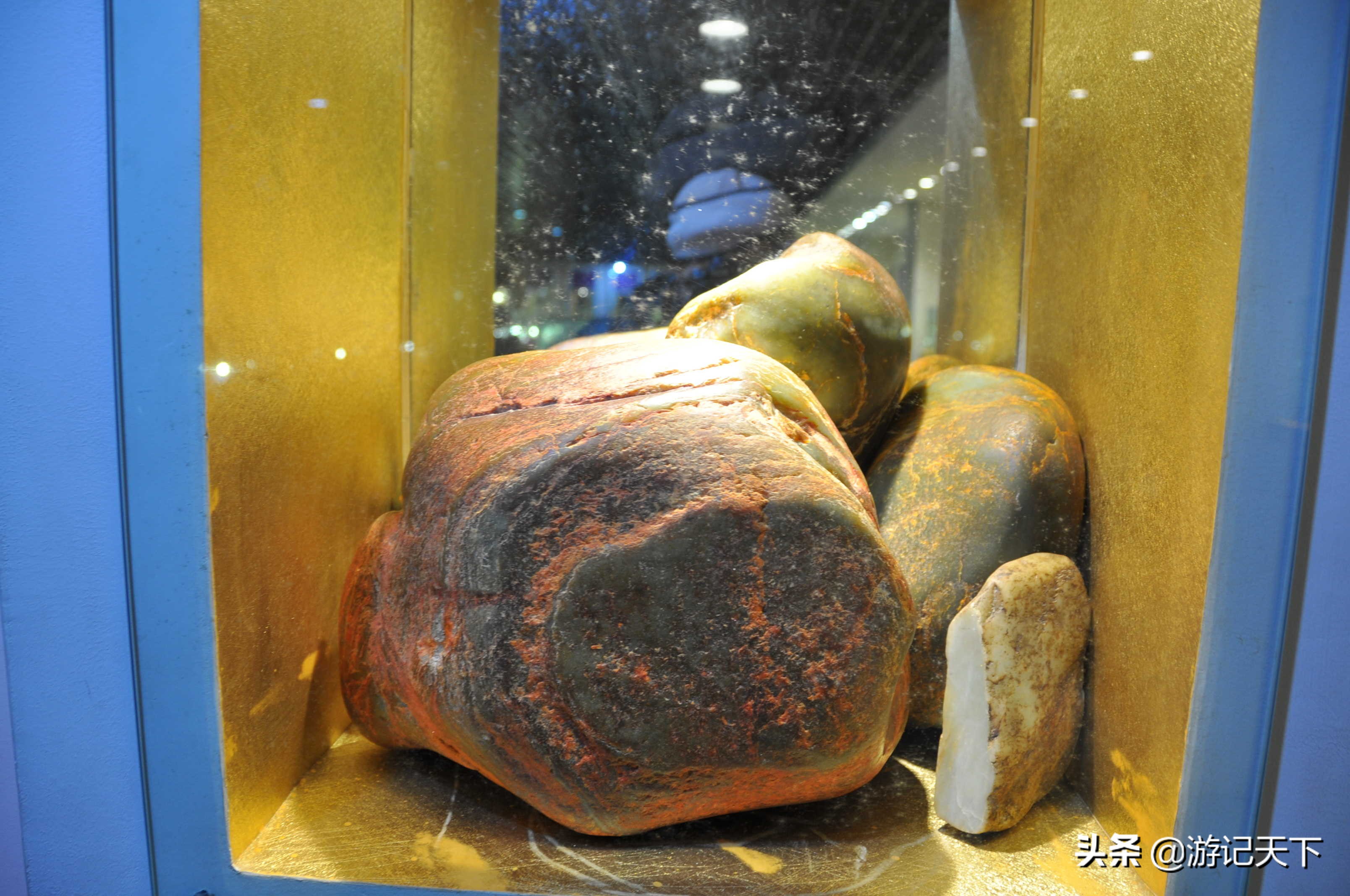 阿尼亚参观博物馆,上海地质科普馆游玩