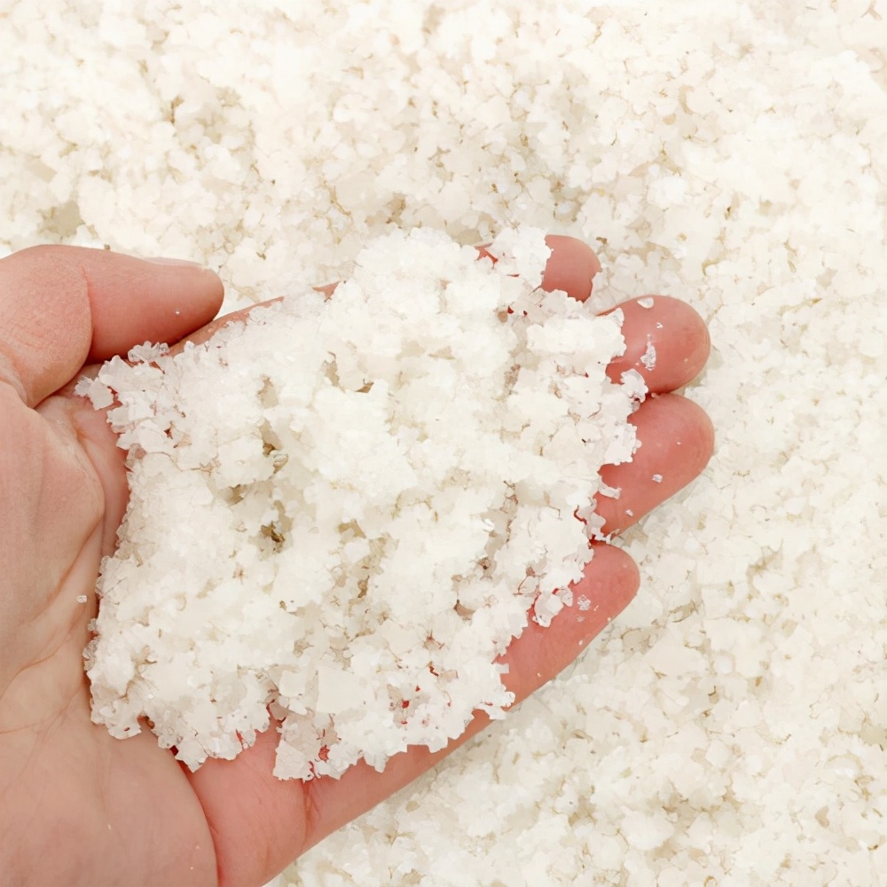 淡水虾哪种最容易养,内地海水养虾最佳水质