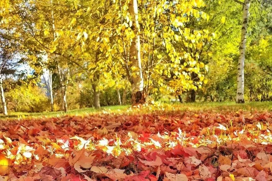 延边迷人风景,延边旅游一日游最佳路线图片