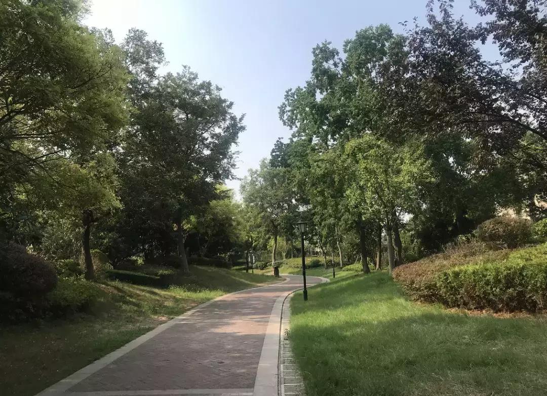 板桥神盘,板桥逸景的房子值得买吗