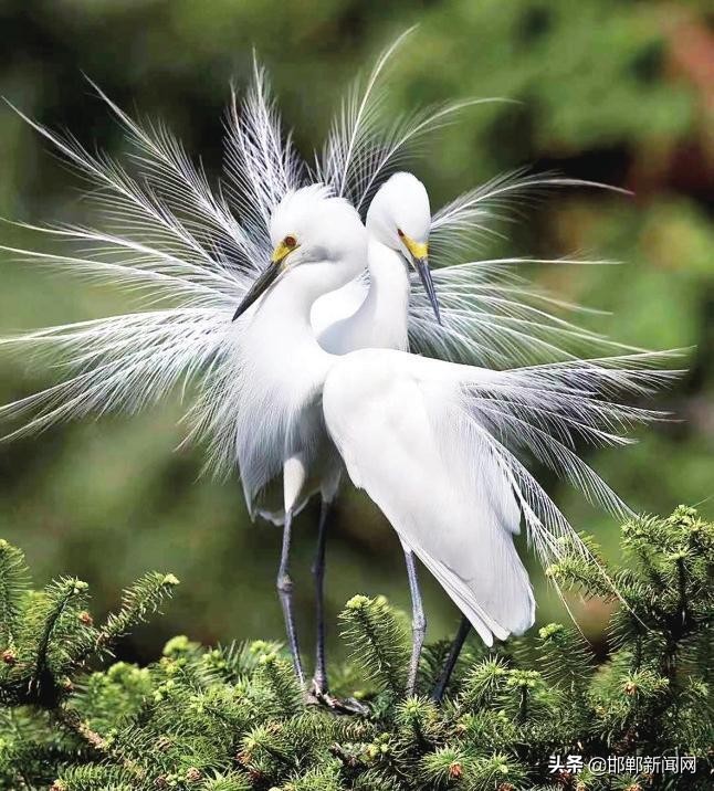 文明从每一件小事做起演讲稿,文明从点滴做起600字