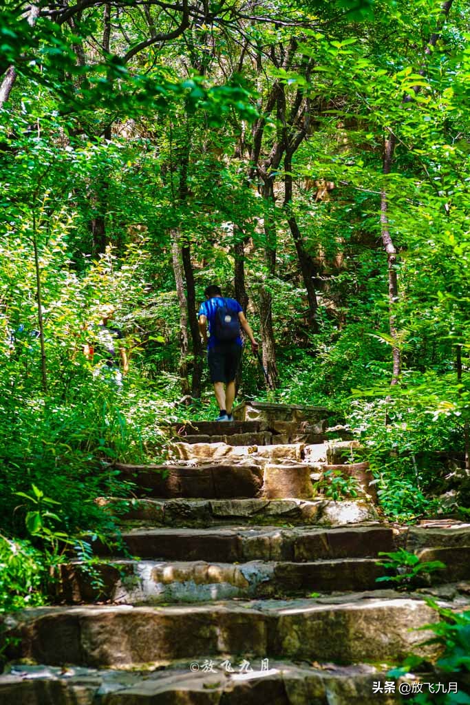 北京房山象鼻山,北京象鼻山在哪里