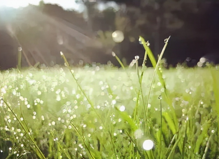 人生不怕苦就怕不醒悟,人生不怕坎坷就怕很多事都不会做