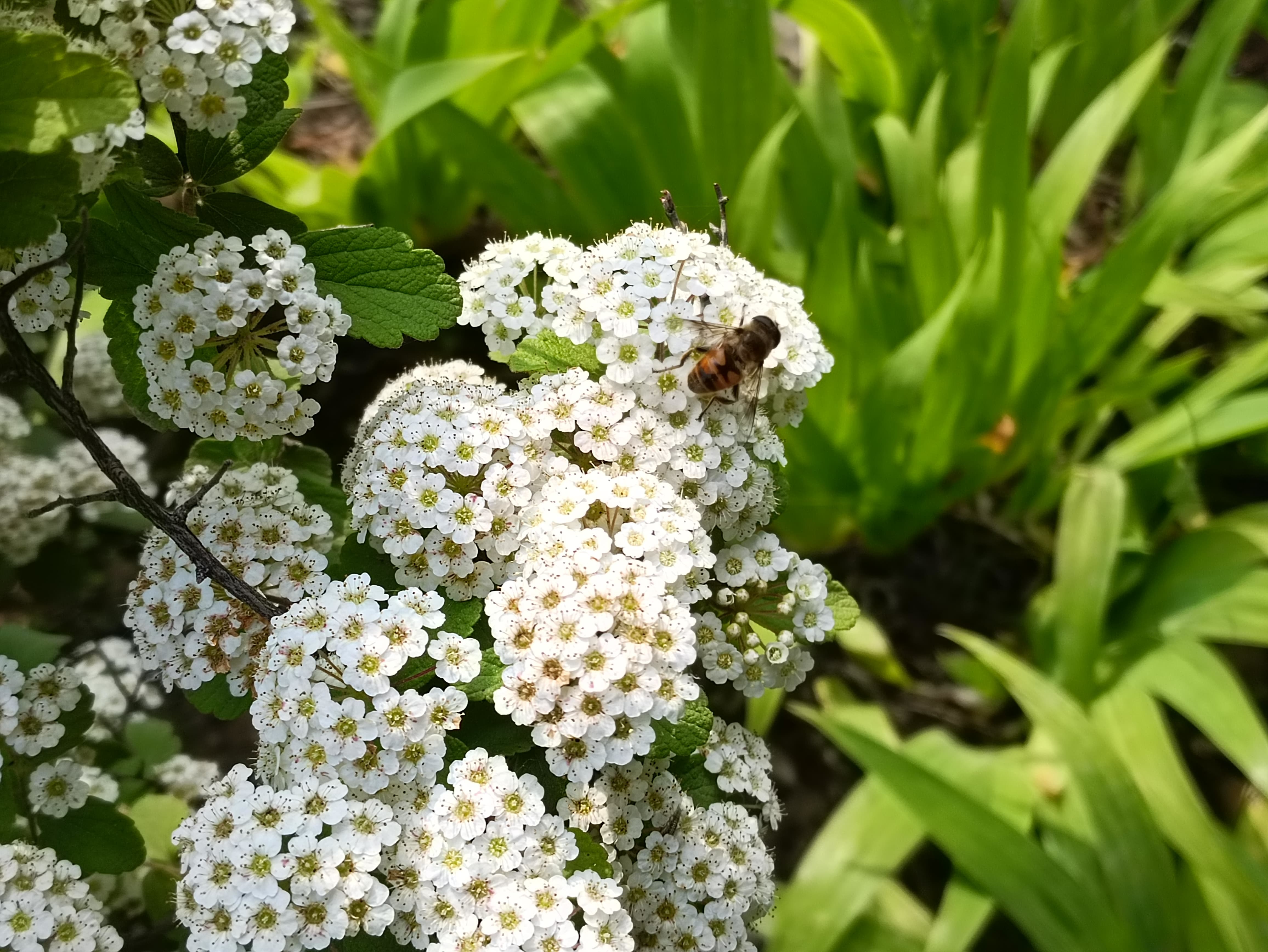 k40游戏增强版评测多少分,k40游戏增强版的最新评测