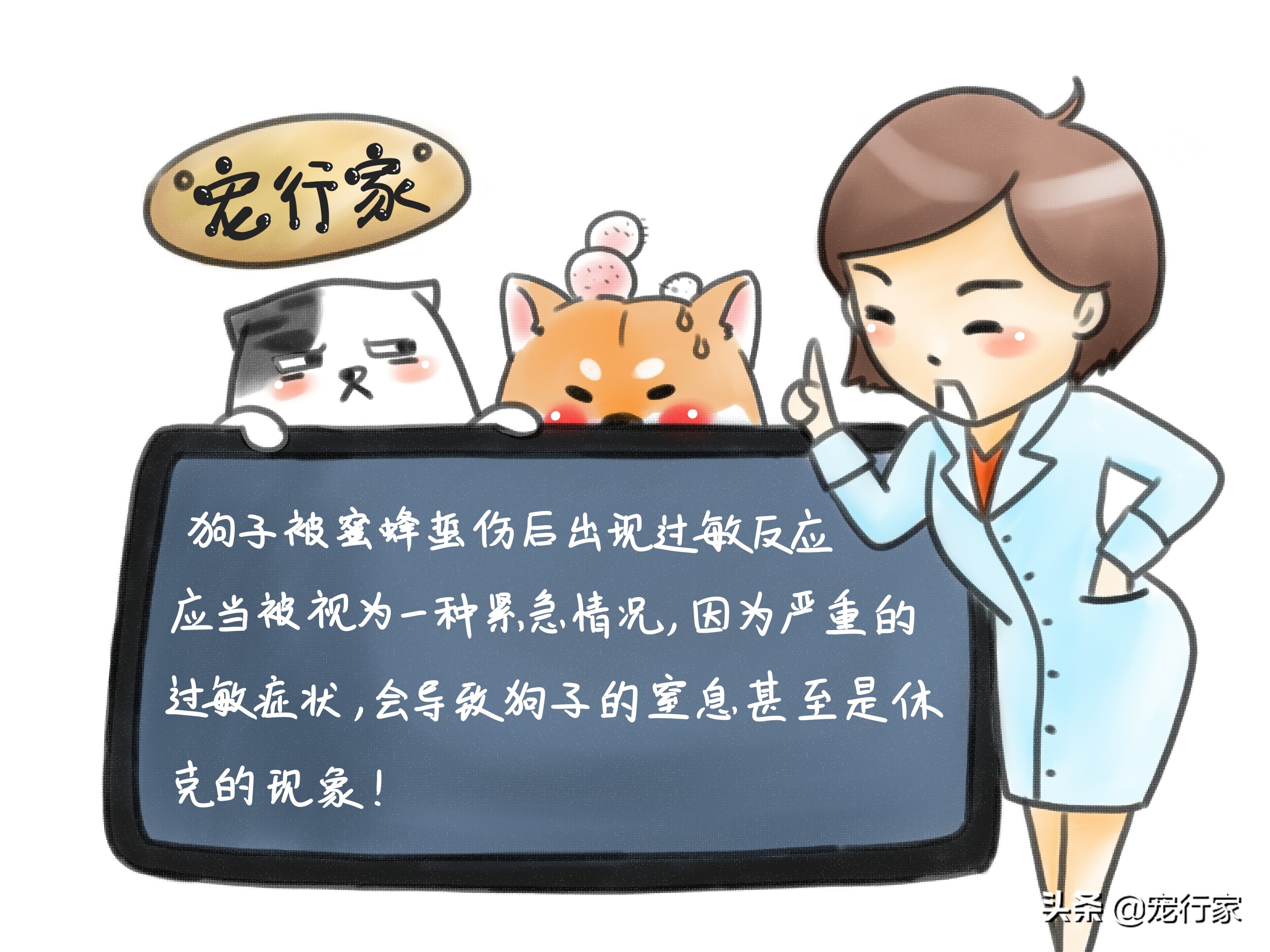 狗被蜜蜂蜇伤怎么办,狗狗被蜜蜂蛰了肿了不精神怎么办