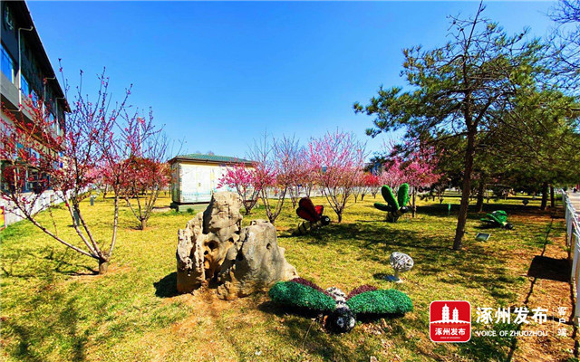 风正好扬帆奋进正当时宣传片,风正起扬帆正当时